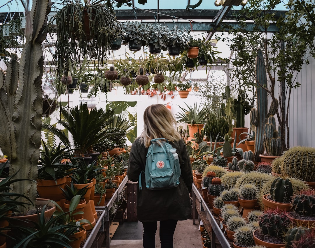 Photo Greenhouse, Succulents