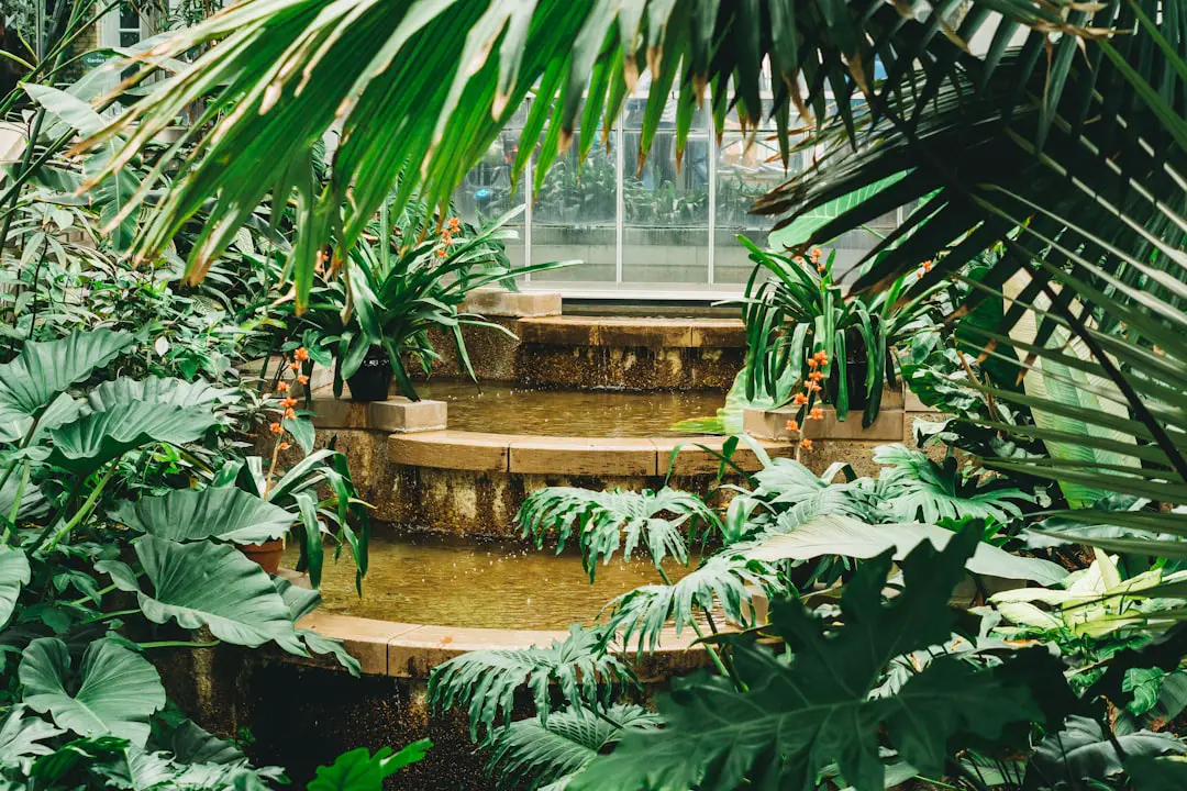 Photo Botanical garden