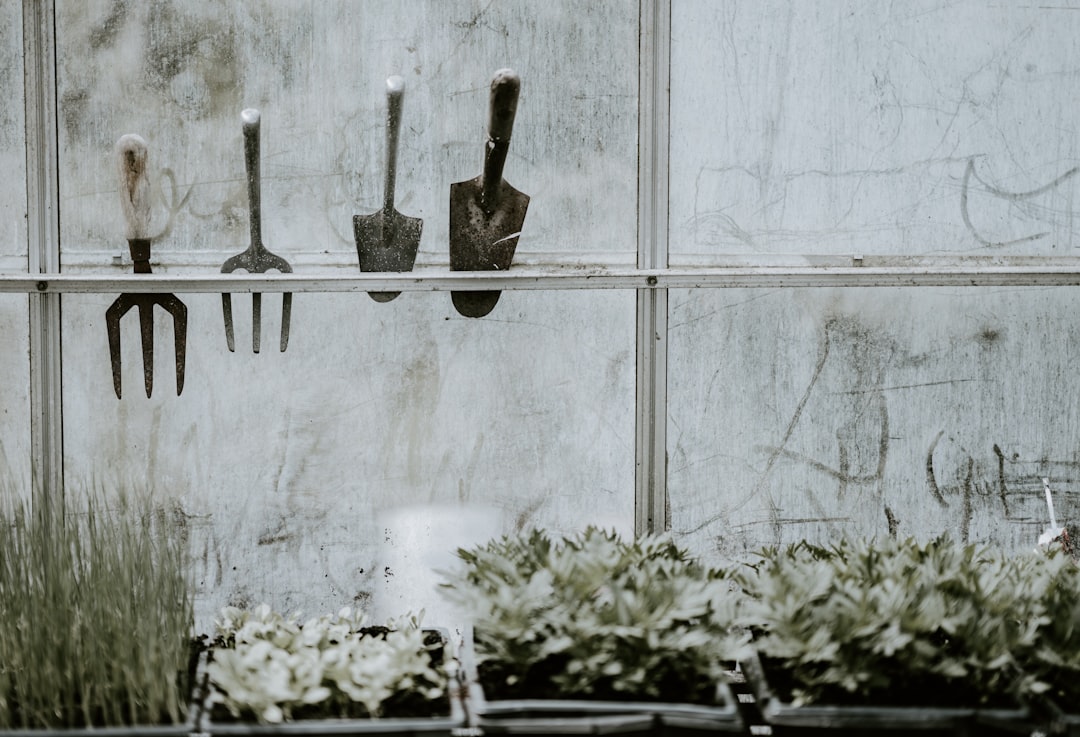 Photo Trowel types